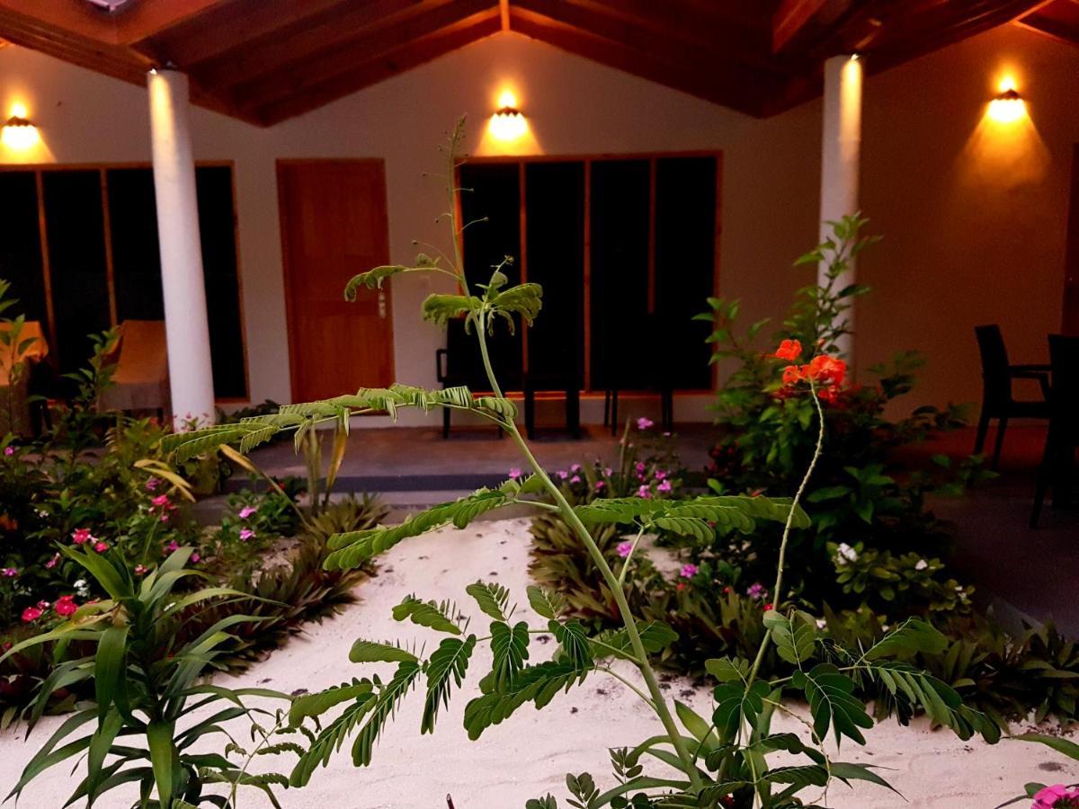 Thoddoo Beach Holiday Exterior foto