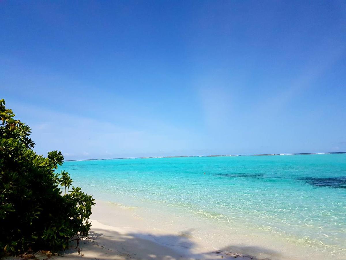 Thoddoo Beach Holiday Exterior foto